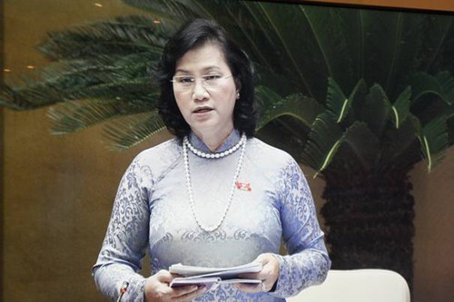 Вьетнамские депутаты продолжили обсуждать социально-экономическое положение страны - ảnh 2